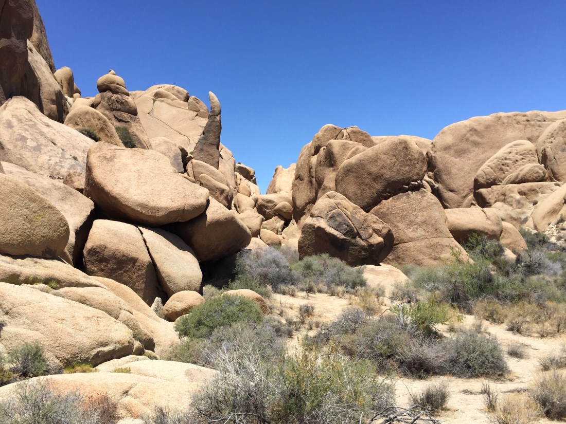 Joshua Tree NP 3.jpeg