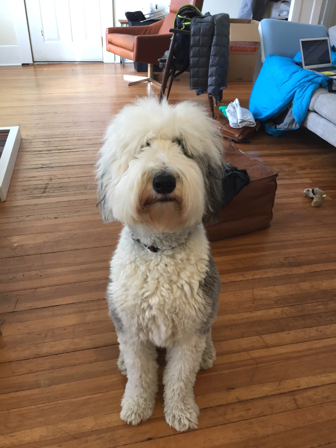 Bruce in Bellingham.jpg