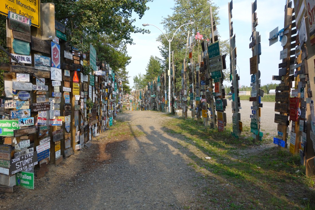 Sign Post Forest 1 - edited .JPG