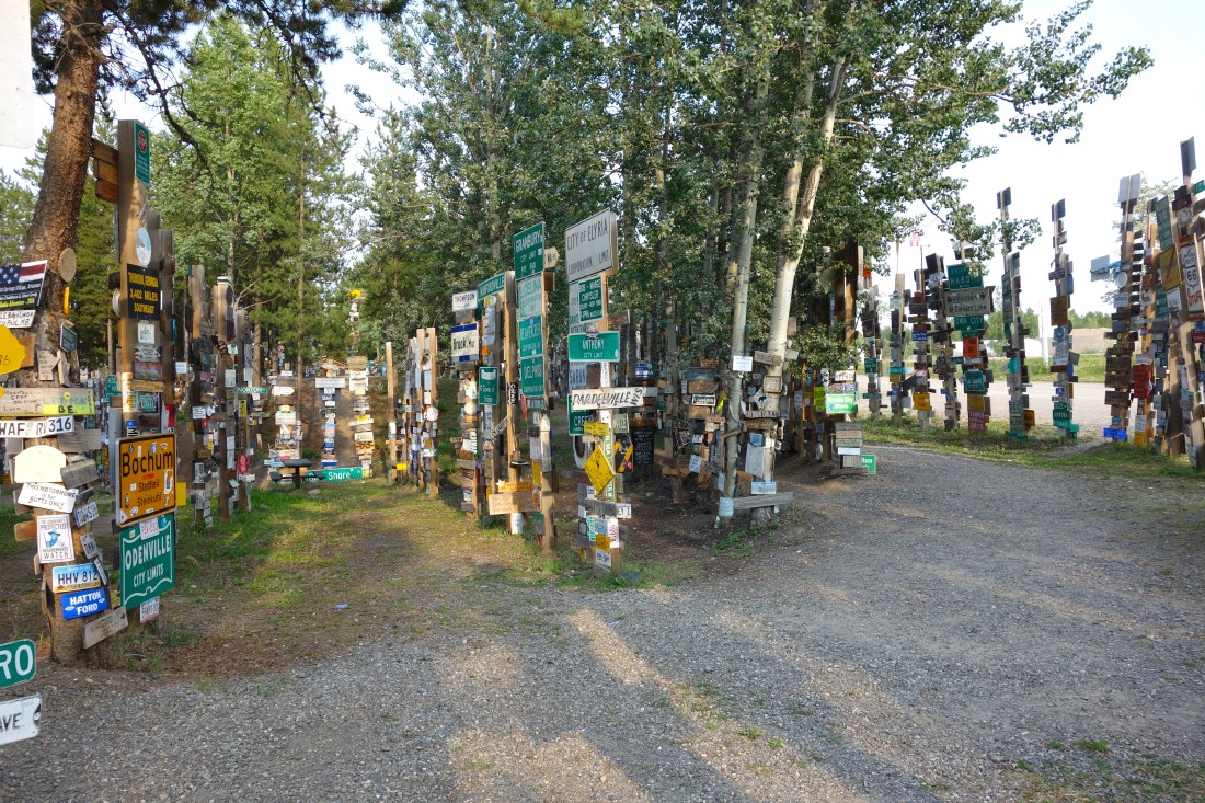 Sign Post Forest 3 - edited .JPG